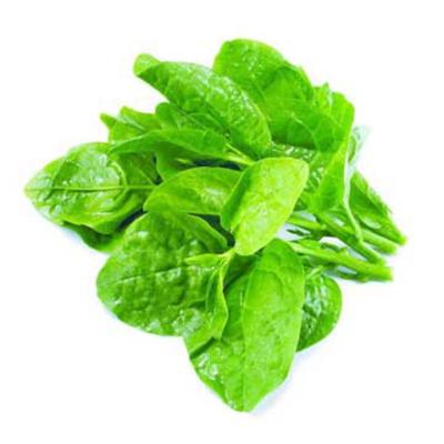 Malabar Spinach (পুঁই শাক)