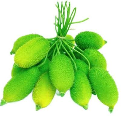 Teasle Gourd (কাঁকরোল)