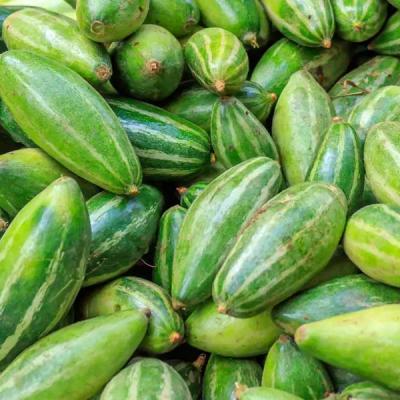 Pointed Gourd (পটল)