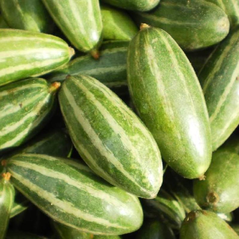 Pointed Gourd (পটল)