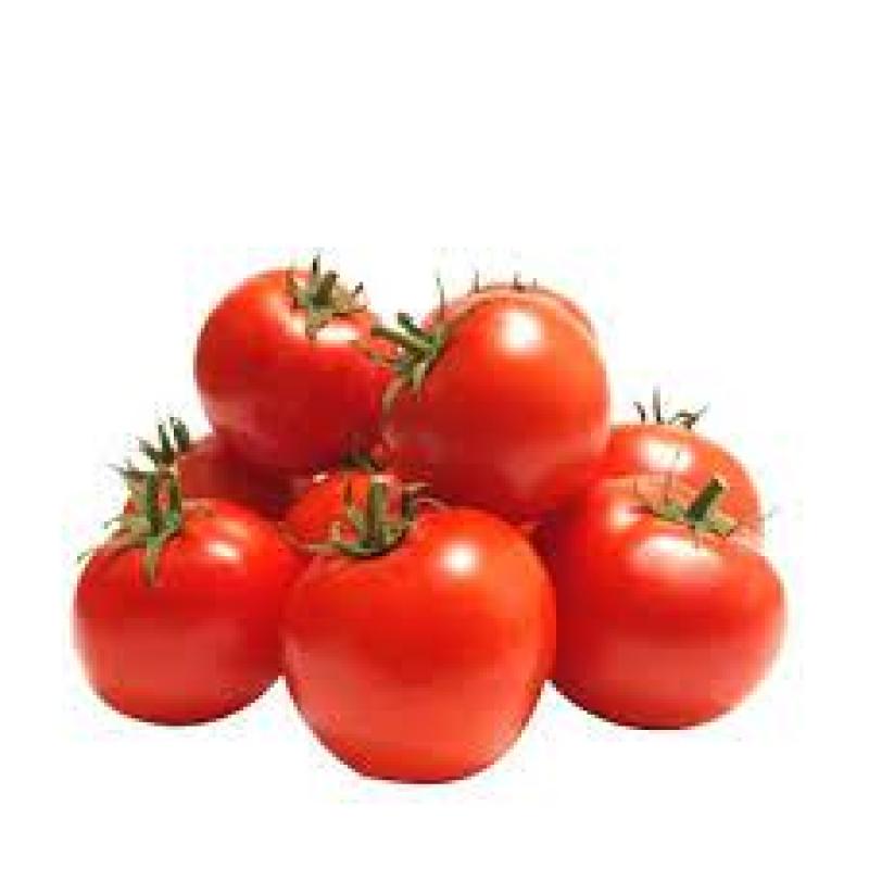 Tomato (টমেটো)