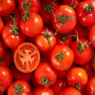 Tomato (টমেটো)